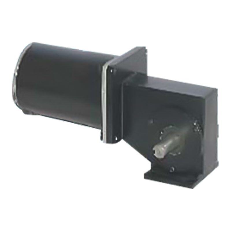90JW/83ZY125 2000-3000 RPM Motor de engranaje con tornillo sin fin de imán permanente y escobillas