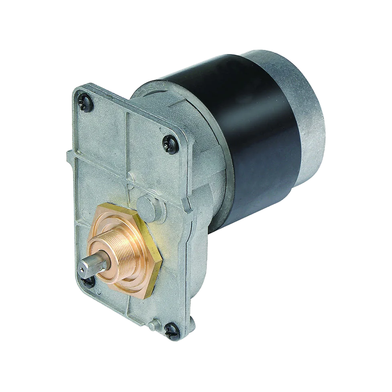 63mm Waterproof Corrosion-Resistant DC Gear Motor for Pool Cleaning Robots Motor de engranaje de corriente continua resistente a la corrosión y a prueba de agua para robots de limpieza de piscinas